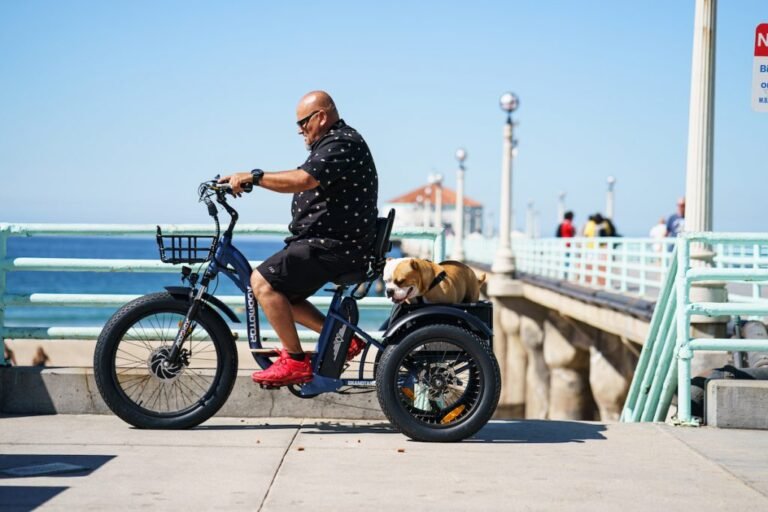 Electric Trikes: Your Ideal Partner for Unforgettable Travel Adventures