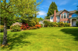 It’s Time for Autumn Lawn Maintenance