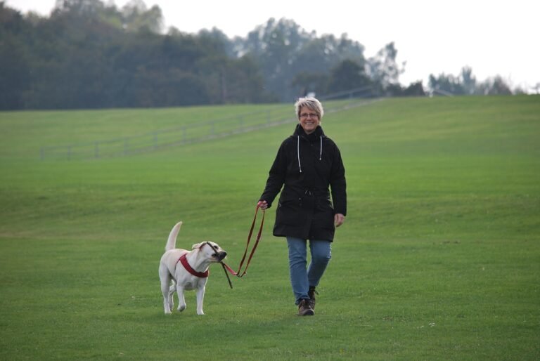 Incorporate Your Dog into Your New Year’s Resolutions