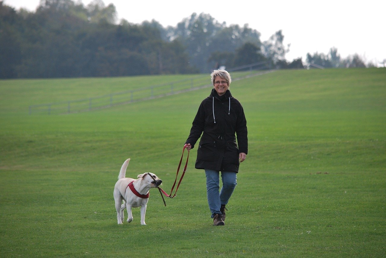 Incorporate Your Dog into Your New Year’s Resolutions