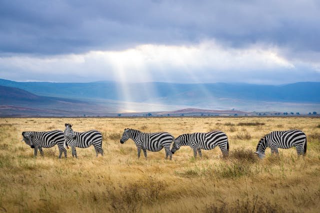 Top Locations for Family Getaways Inspired by Wildlife