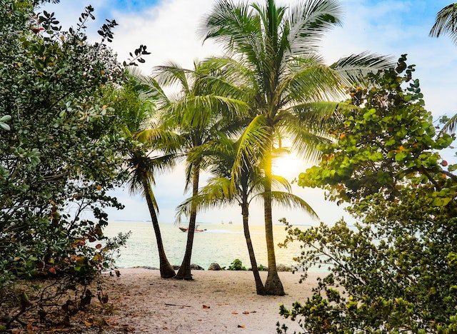 8 Exciting Adventure Travel Ideas for an Unforgettable Summer Experience