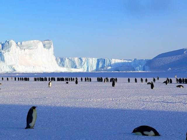 Top Destinations to Explore in Antarctica for Luxurious Family Vacations