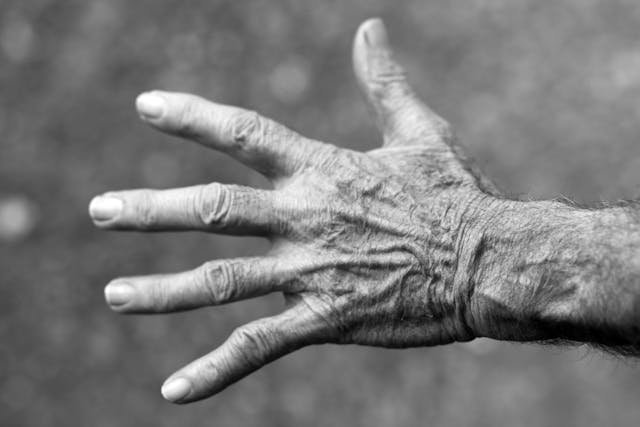 What Type of Care Might Your Elderly Relatives Require?